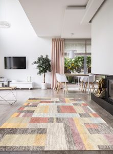 Rug on hardwood floor in a stylish, open space living room inter