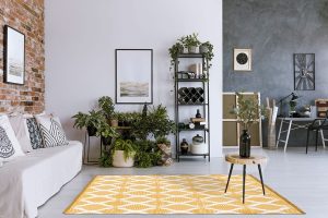 Plants in living room